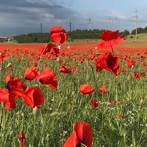 Фотография от Олеся Сильвестрова (Полякова)