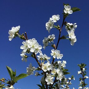 Фотография от Любовь Смирнова (Гаранина)