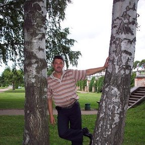 Фотография "Петергоф - август 2008г."