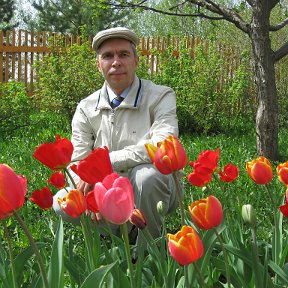 Фотография от Александр Домнин