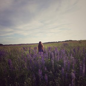 Фотография от Ангелина Свешникова