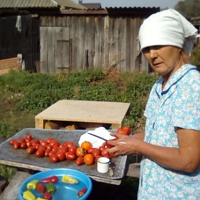 Фотография от Елена Аникеева