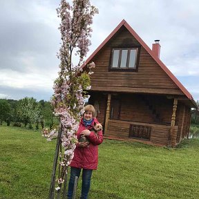 Фотография от Валентина Смолярова(Василенко)