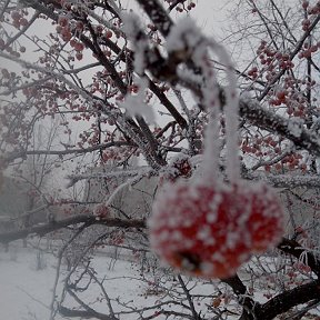 Фотография от Наташа Н