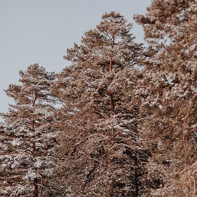 Фотография от Екатерина Романова