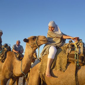 Фотография от Светлана Вид (Диппель)