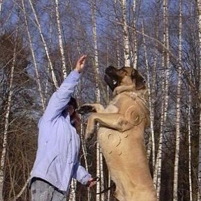 Фотография "Я и мой Данила "