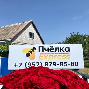 Фотография от Служба доставки Пчёлка Express