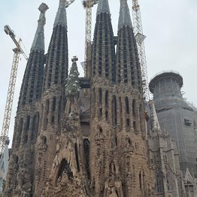 Фотография "Sagrdos Familia"