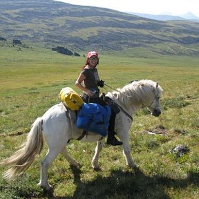 Фотография "Я с Тамерланом :)  Алтай 2008"