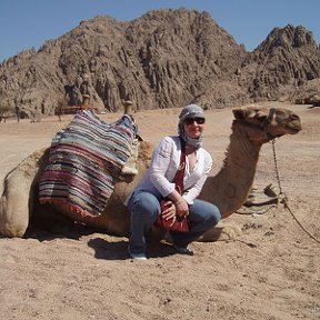 Фотография "Я и мой верблюд"
