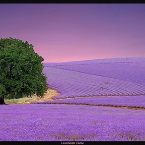 Фотография от Ольга К