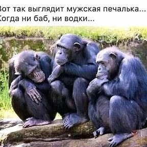 Фотография от Олег Пирвий