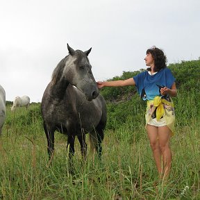 Фотография "сама лошадка, может поэтому так их люблю"