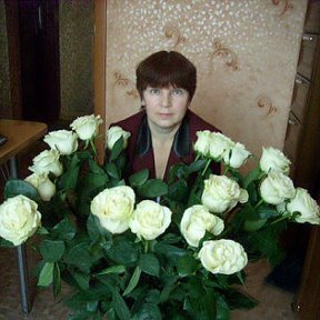 Фотография "Белые розы,белые розы..."