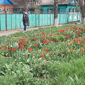 Фотография от Ольга Бобровникова(Куприянова)