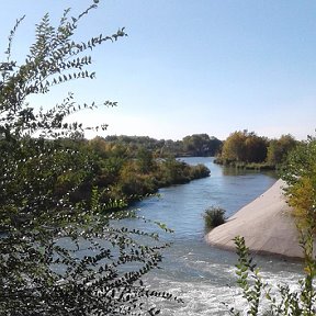 Фотография "Красавица Кубань"