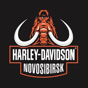Фотография от Harley-Davidson Новосибирск