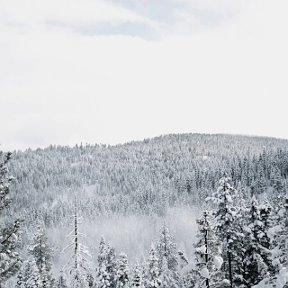 Фотография от Au UA