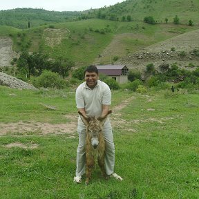 Фотография от Alijon Akbarov