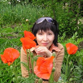 Фотография "Михайловка.У Люции в саду.2009."