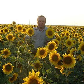 Фотография "Отпуск 2010 г. Август."