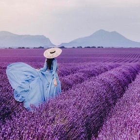 Фотография от Olga 🌼🌸🌺