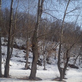 Фотография от Алексей Лавров