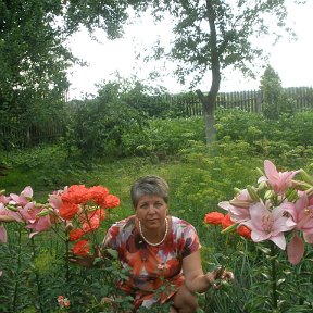 Фотография от Лидия Геврасева (Новикова)