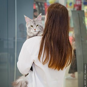 Фотография от Питомник Мейн-кун Анна