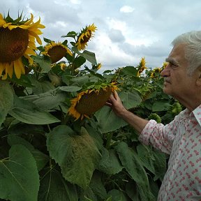 Фотография от Николай Боклан