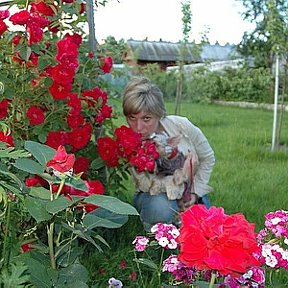 Фотография "Беларусь далекий 2009 год"