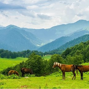 Фотография от Инна Голикова