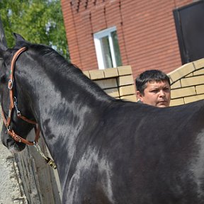 Фотография от Алексей Череповский