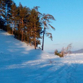 Фотография от Алексей Гусляков