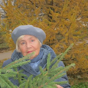 Фотография "Осень в городе Набережные Челны 2013 год."