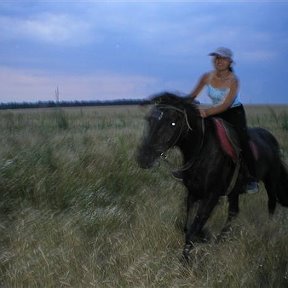 Фотография "любимое занятие :)
Я на одной из умных лошадок, на Галке."