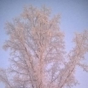 Фотография от Галина Сулейманова