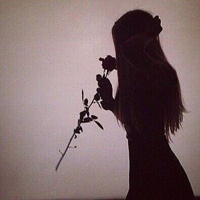 Фотография "Почему девушку всегда сравнивают с розой?"