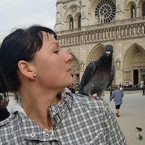 Фотография "Paris,Norte Dame"