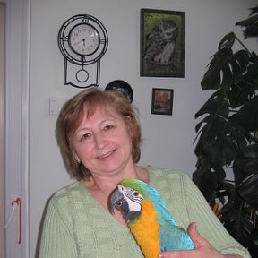 Фотография "Я в гостях у дочери. апрель 2008 год"