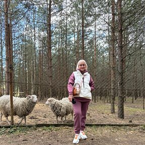 Фотография "Три овна😁В Артколхоз Киржач"