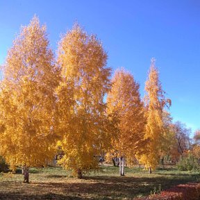 Фотография от ольга березина