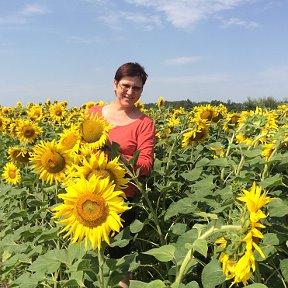 Фотография от Анна Бычинская (Варивоцкая)