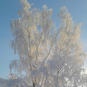 Фотография от Елена Еленка