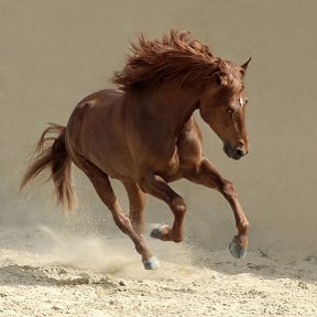 Фотография от как быть с тобой my love