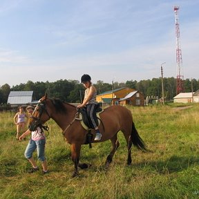 Фотография "Рысью....."