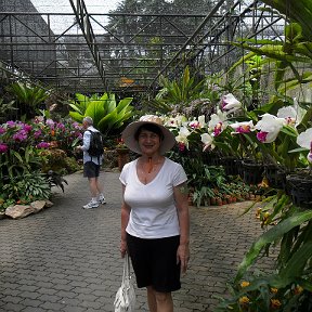 Фотография "Тайланд ботанический сад."