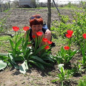 Фотография от Наталья Чебакова(Шульга)