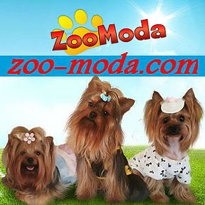 Фотография от Татьяна - Бутик Zoo Moda